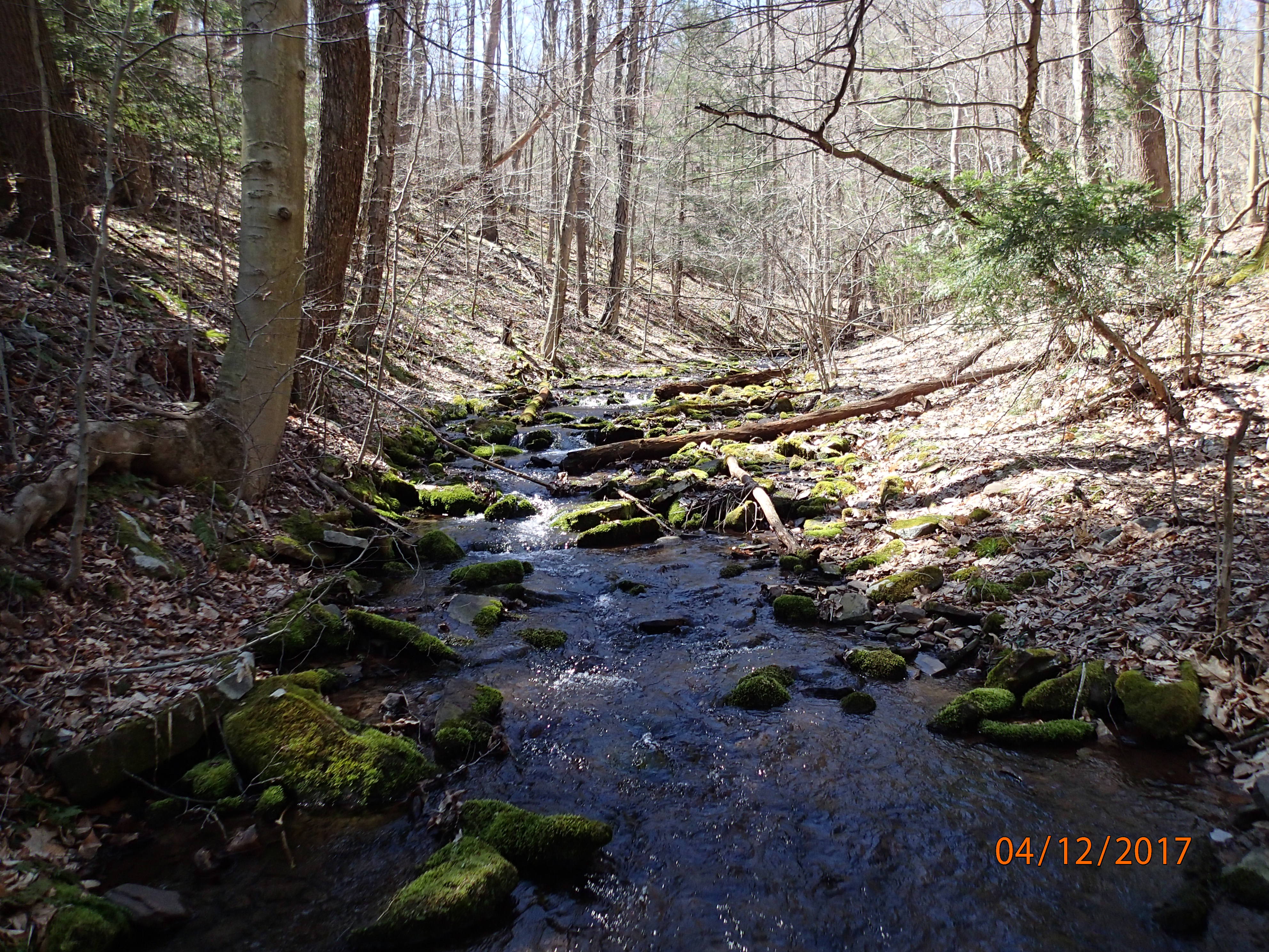 Field photo showing stream conditions at site SAVA-276-S-2017-MidpointPUpstream