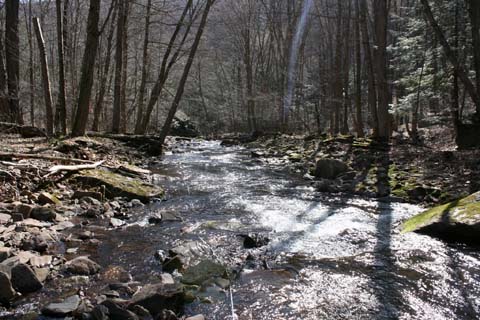 Field photo showing stream conditions at site SAVA-291-A-2012_Mid-point_Downstream