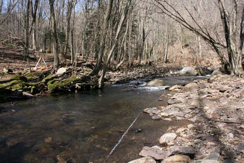 Field photo showing stream conditions at site SAVA-291-A-2012_Mid-point_Upstream