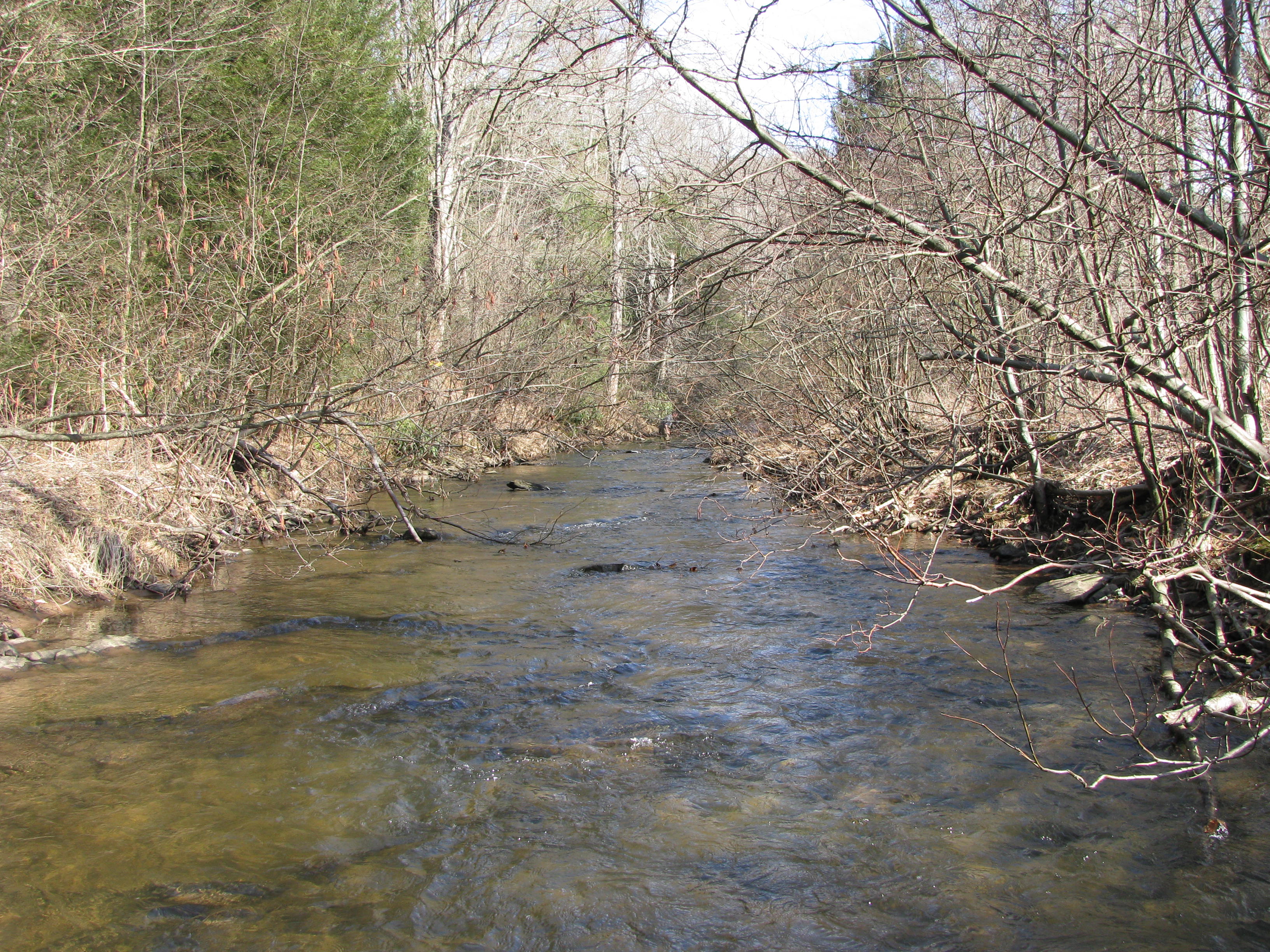 Field photo showing stream conditions at site SAVA-301-D-2012-1