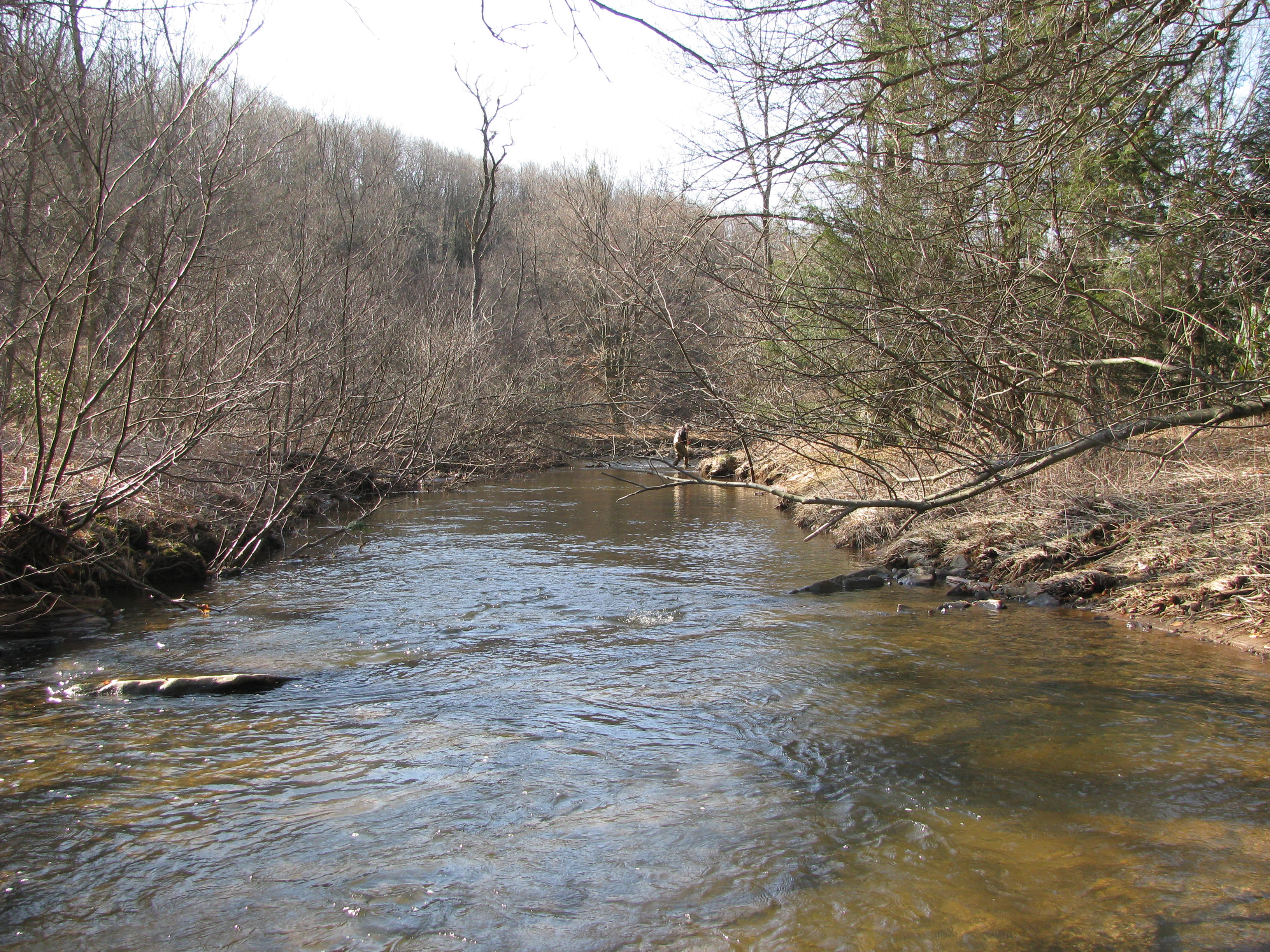 Field photo showing stream conditions at site SAVA-301-D-2012-2
