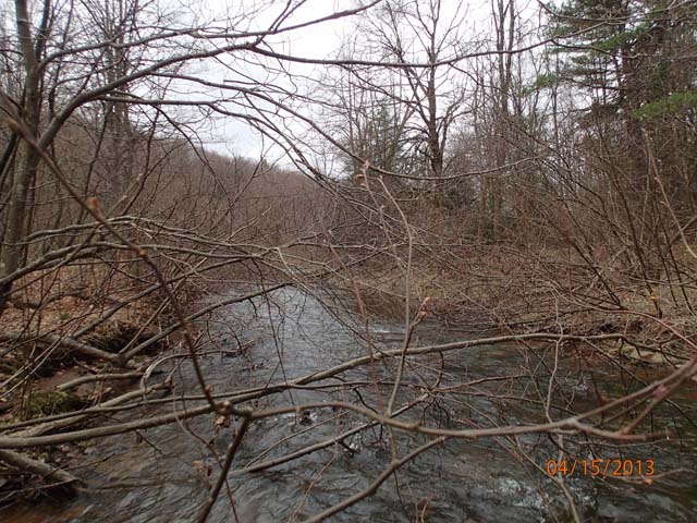 Field photo showing stream conditions at site SAVA-301-D-2013-50mDownstream