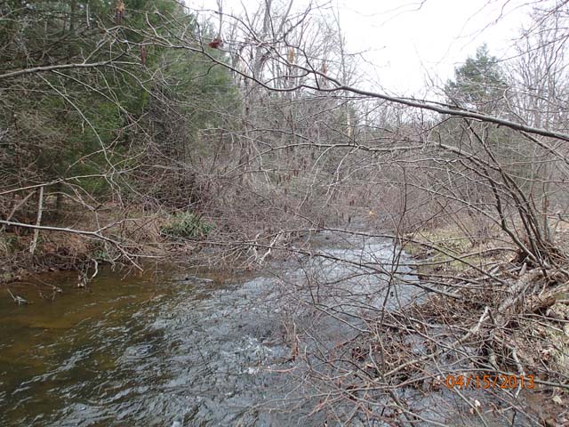 Field photo showing stream conditions at site SAVA-301-D-2013-50mUpstream