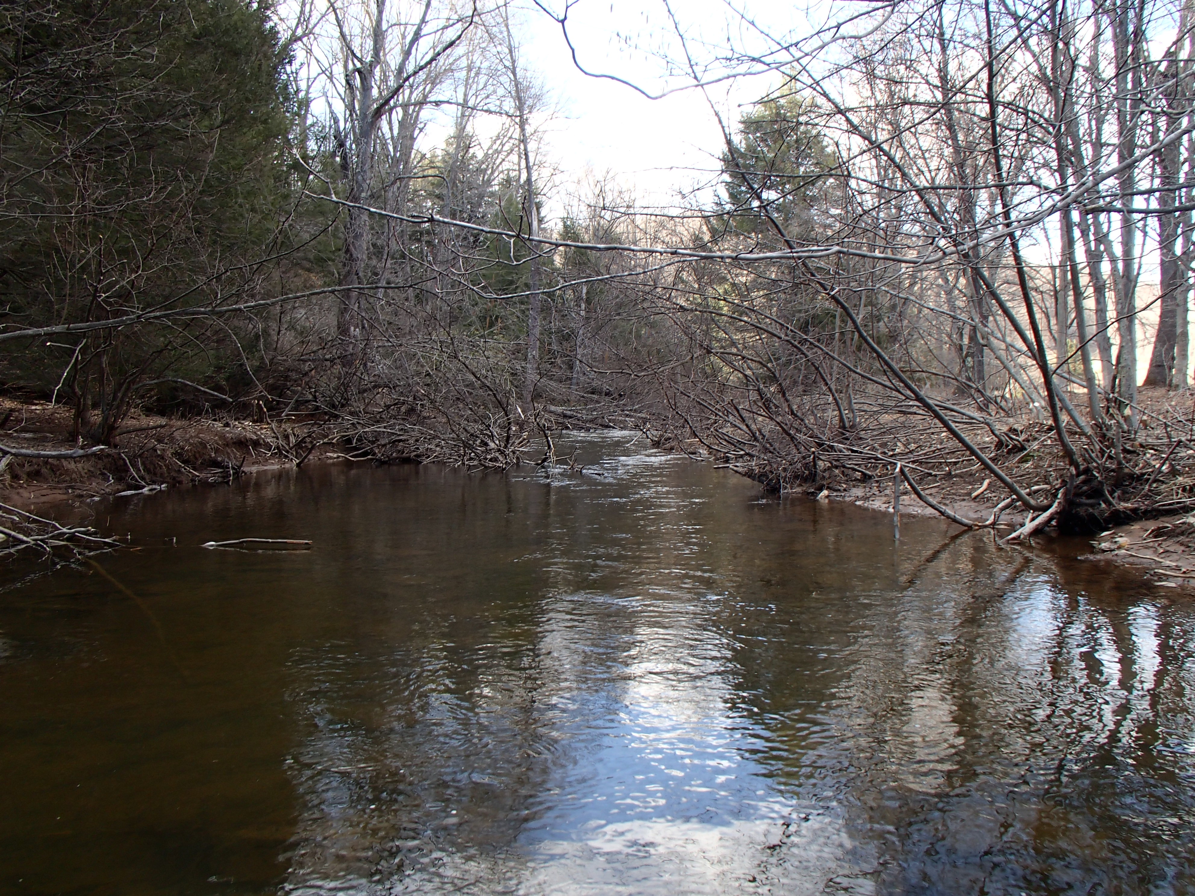 Field photo showing stream conditions at site SAVA-301-D-2014-1