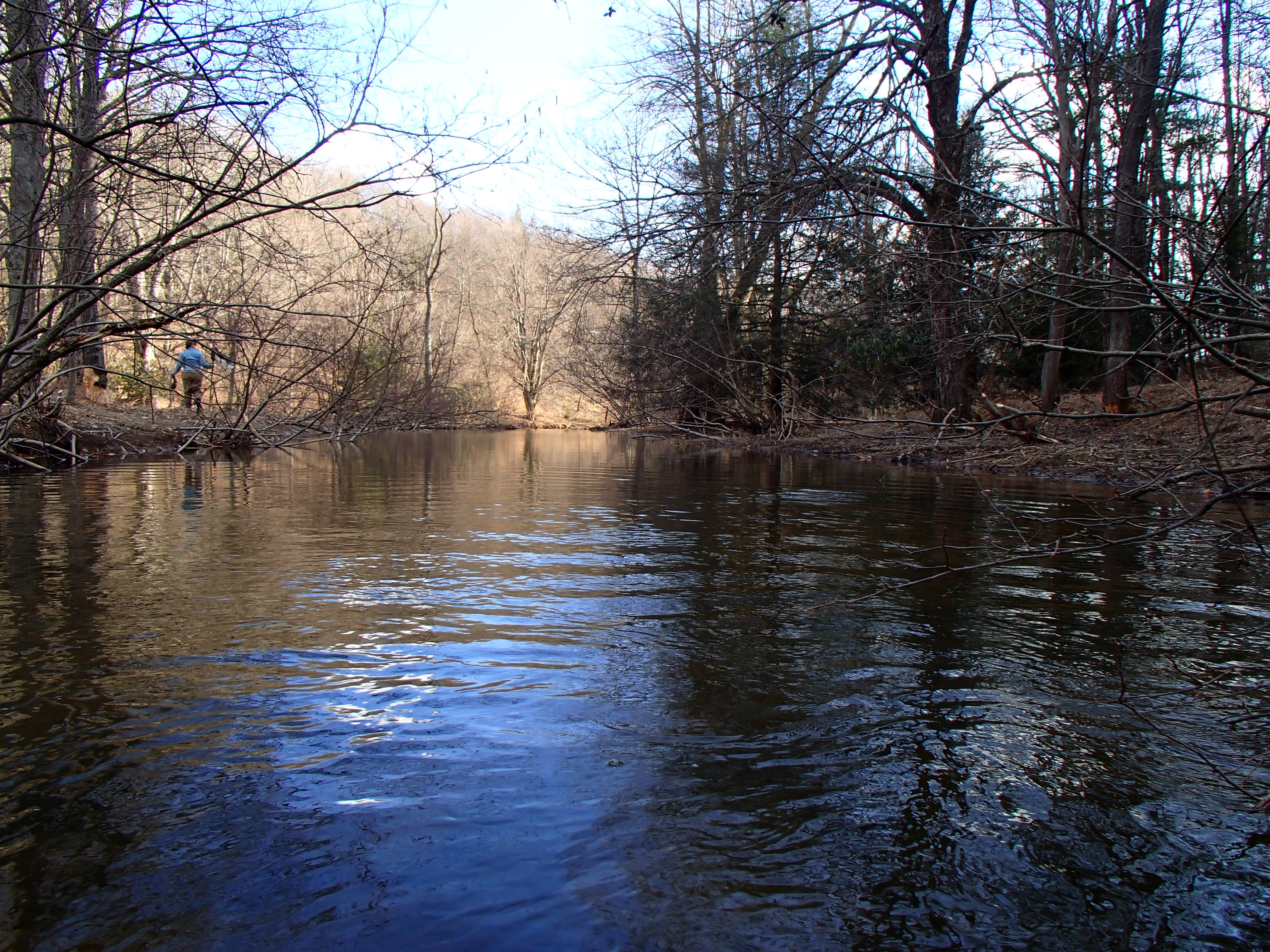 Field photo showing stream conditions at site SAVA-301-D-2014-2
