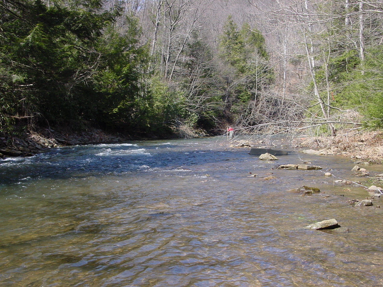 Field photo showing stream conditions at site SAVA-308-R-2002-1