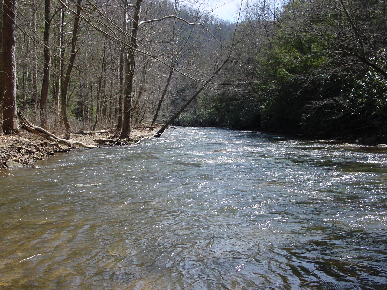 Field photo showing stream conditions at site SAVA-308-R-2002-2