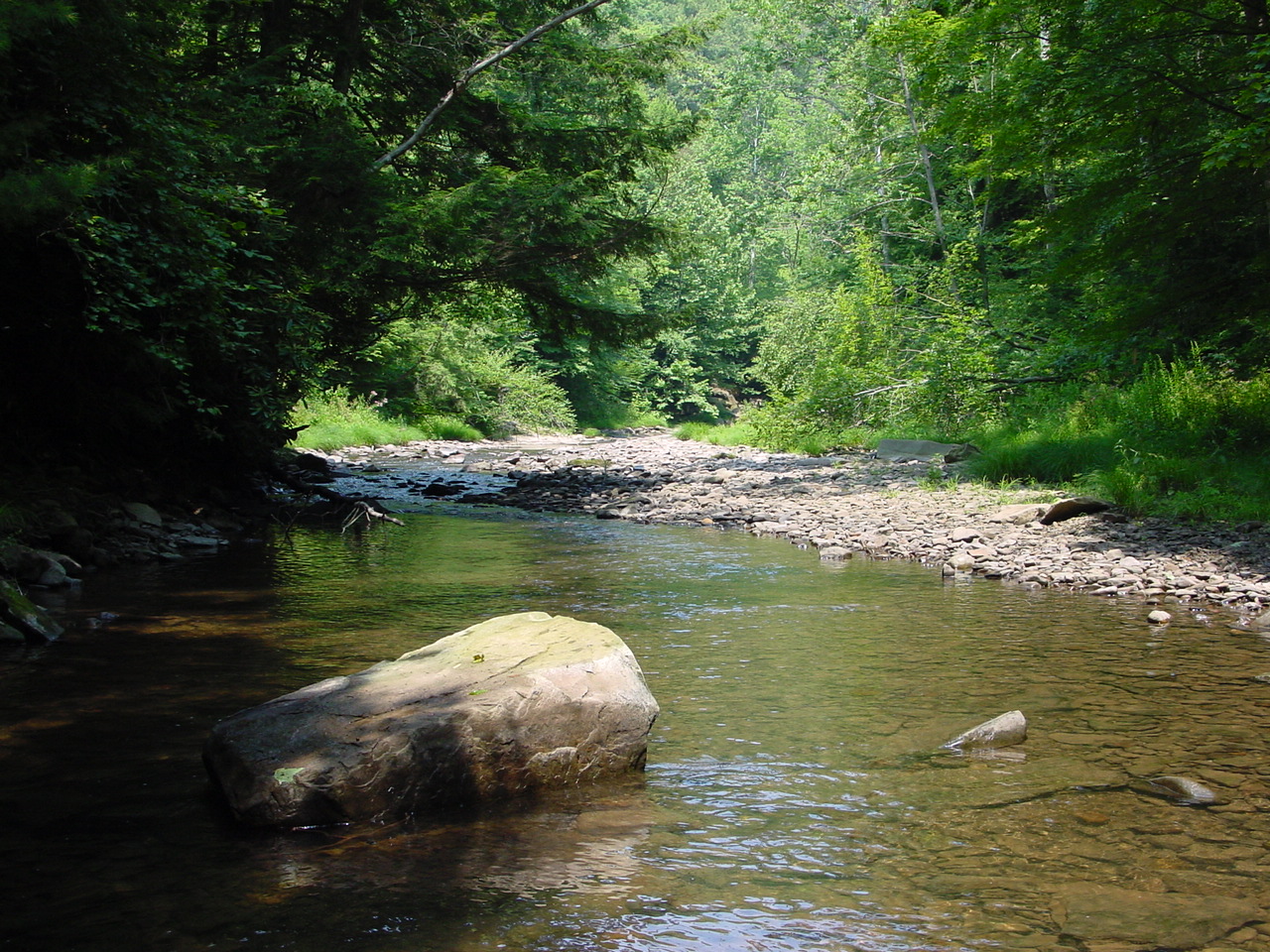 Field photo showing stream conditions at site SAVA-308-R-2002-4