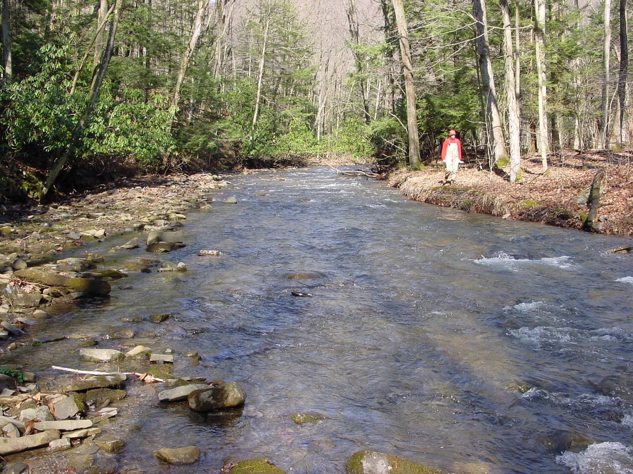 Field photo showing stream conditions at site SAVA-312-R-2002-2