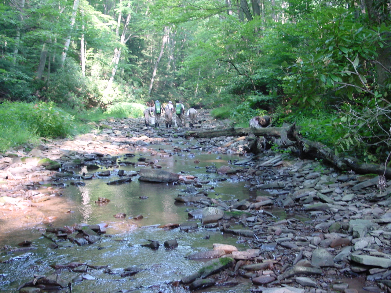 Field photo showing stream conditions at site SAVA-312-R-2002-3