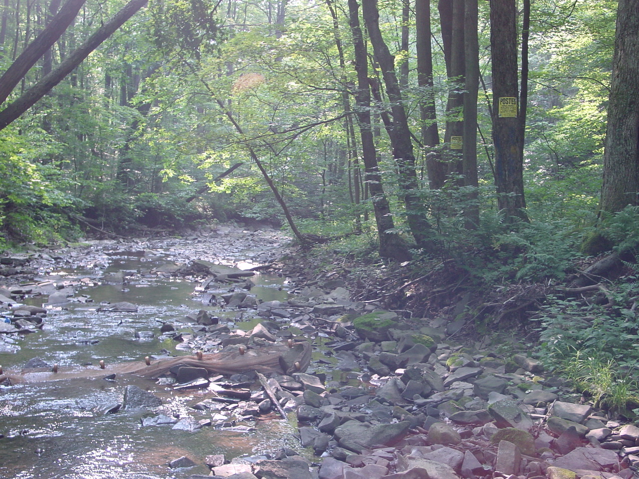 Field photo showing stream conditions at site SAVA-312-R-2002-4