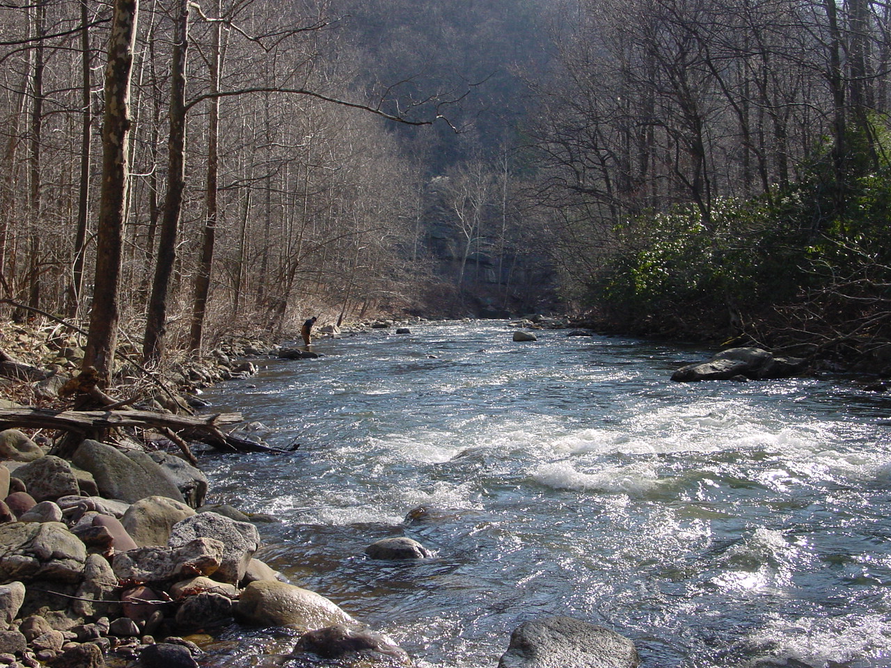 Field photo showing stream conditions at site SAVA-401-R-2002-1