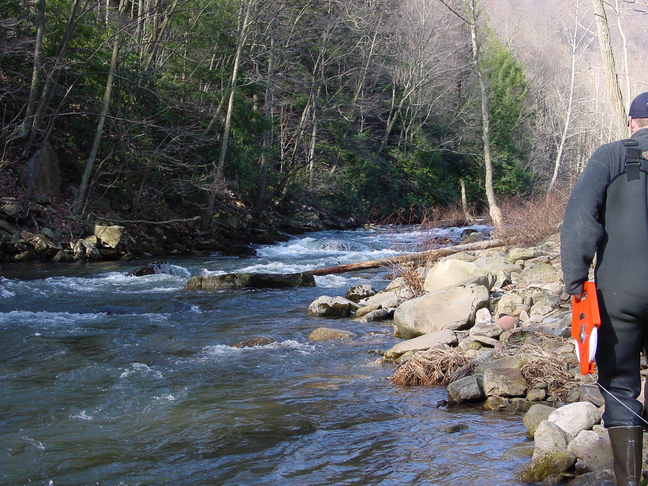 Field photo showing stream conditions at site SAVA-401-R-2002-2