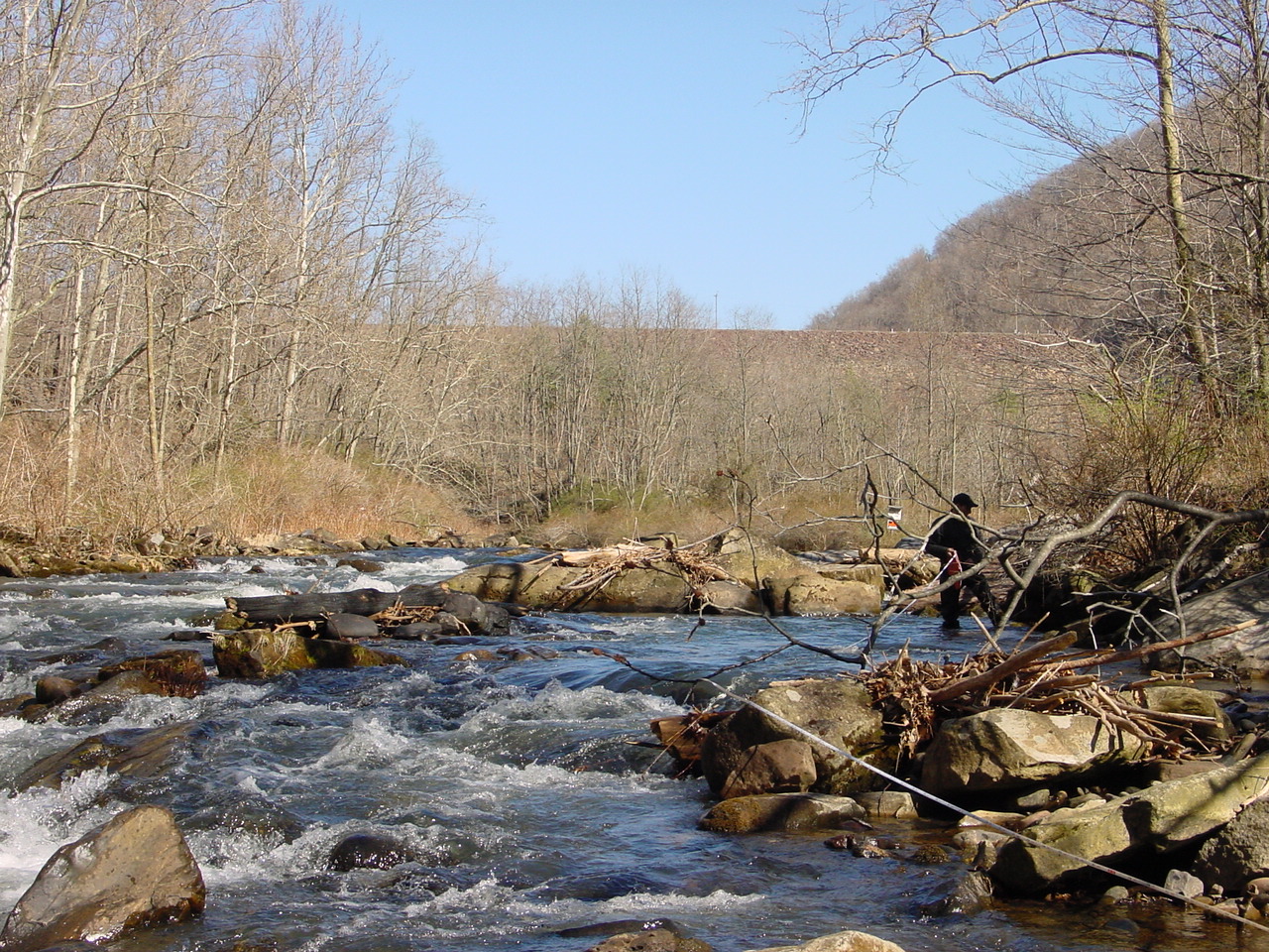 Field photo showing stream conditions at site SAVA-410-R-2002-1
