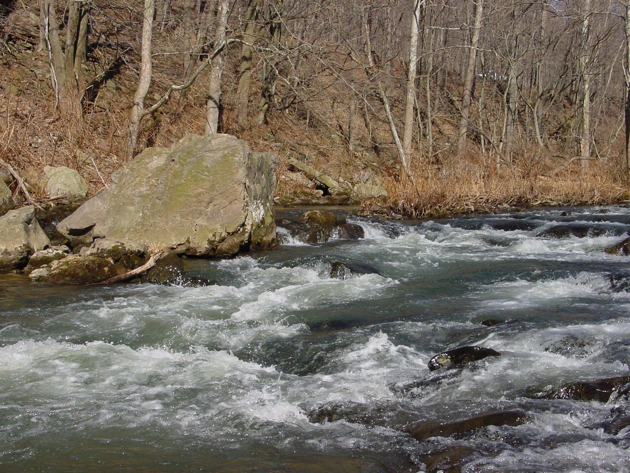 Field photo showing stream conditions at site SAVA-410-R-2002-2