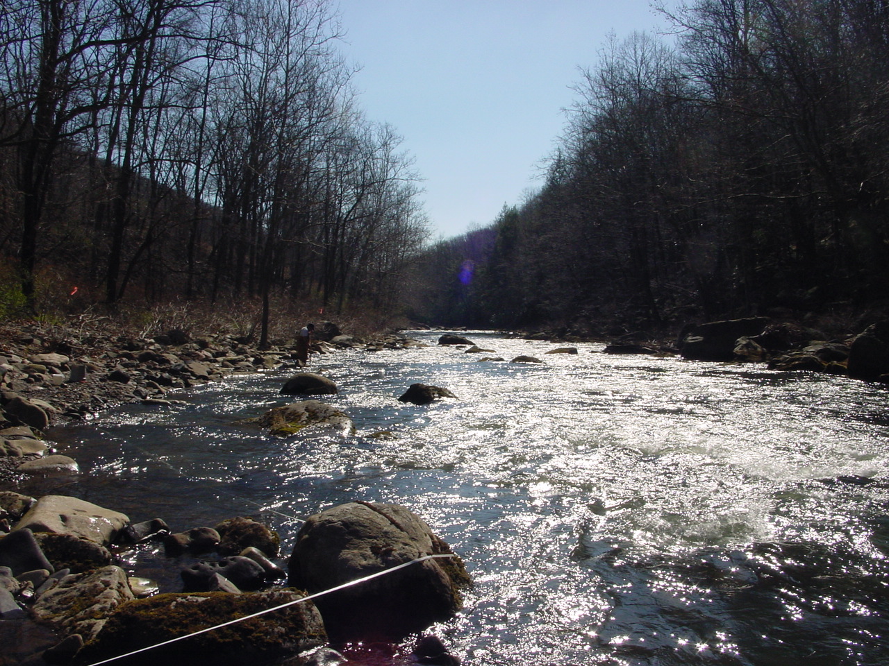Field photo showing stream conditions at site SAVA-410-R-2002-3