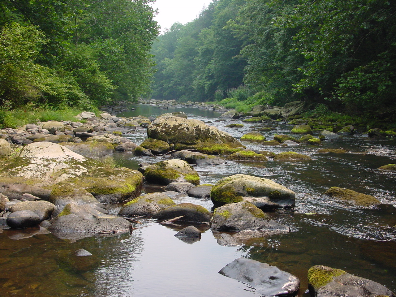 Field photo showing stream conditions at site SAVA-410-R-2002-5
