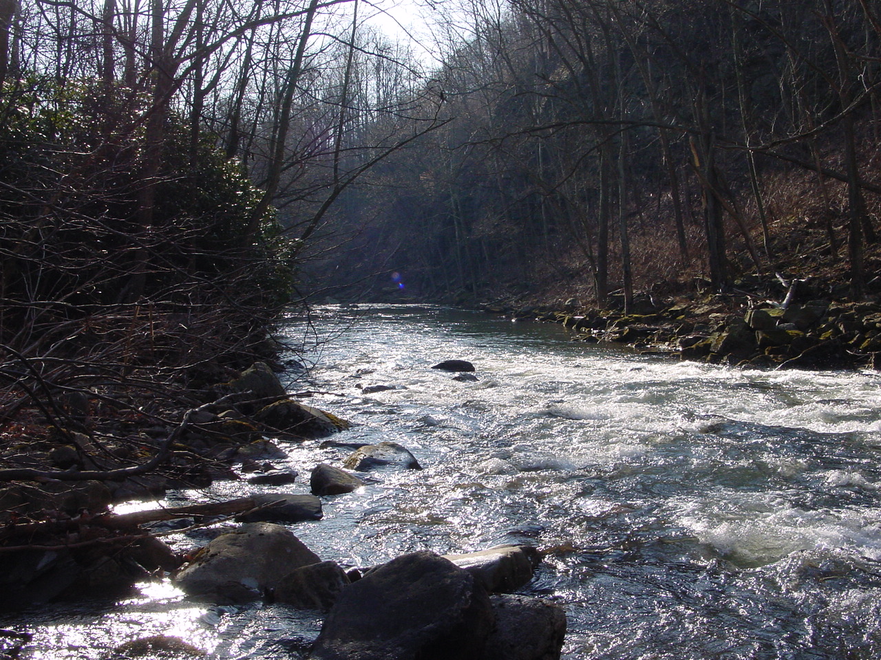 Field photo showing stream conditions at site SAVA-414-R-2002-1