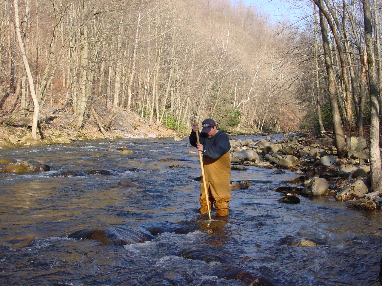 Field photo showing stream conditions at site SAVA-414-R-2002-2