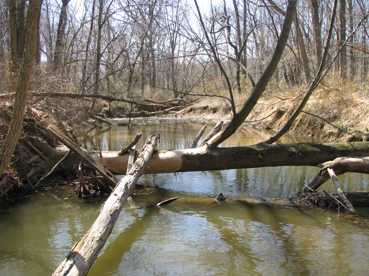 Field photo showing stream conditions at site SBPA-101-A-2009-1