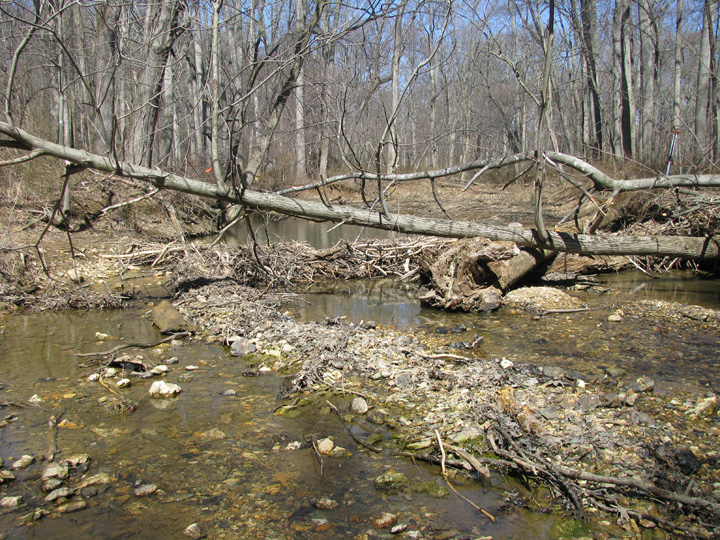 Field photo showing stream conditions at site SBPA-101-A-2009-2