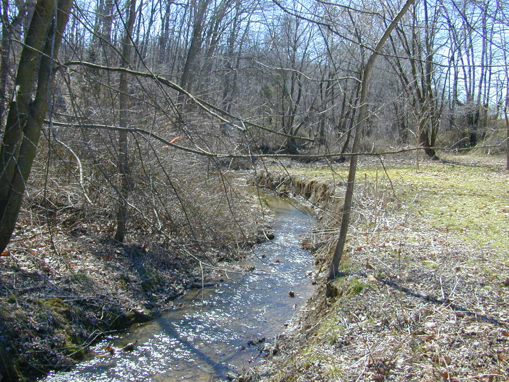 Field photo showing stream conditions at site SBPA-103-R-2000-01