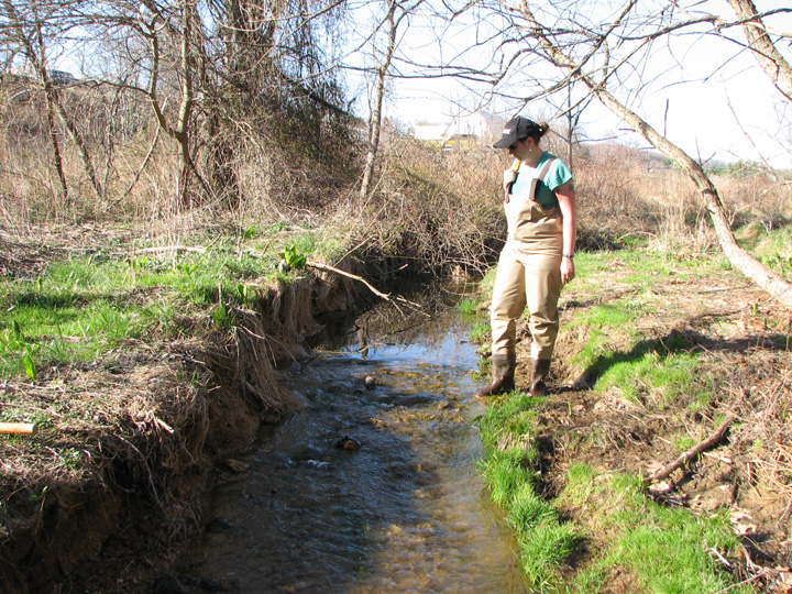Field photo showing stream conditions at site SBPA-105-R-2007-2