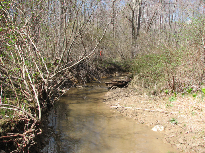 Field photo showing stream conditions at site SBPA-106-R-2007-2