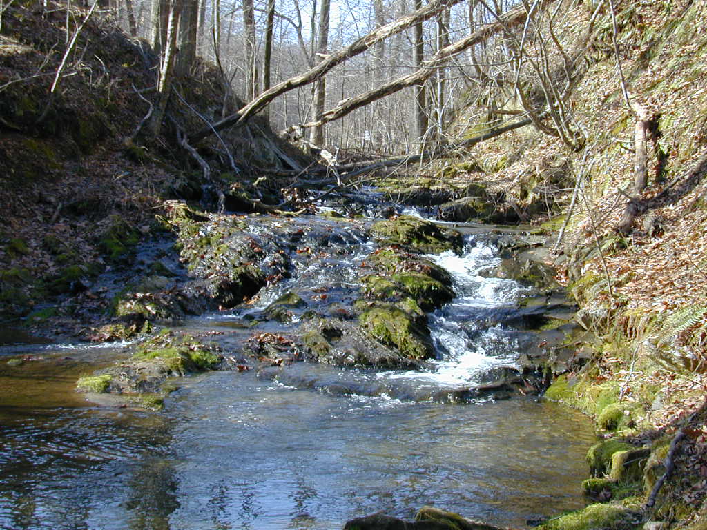 Field photo showing stream conditions at site SBPA-108-R-2000-02