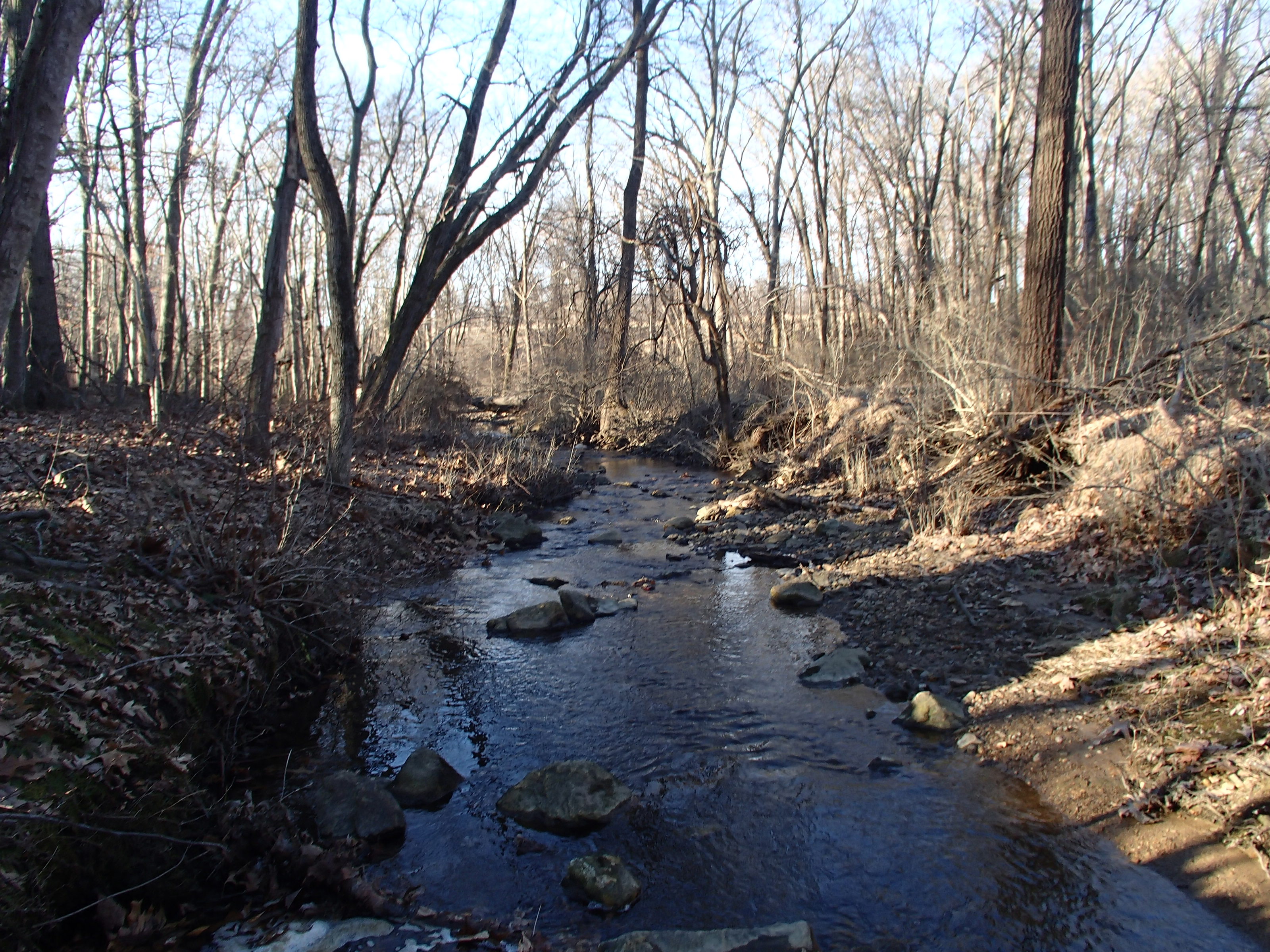 Field photo showing stream conditions at site SBPA-108-X-2015_Midpoint-at-P-looking-downstream