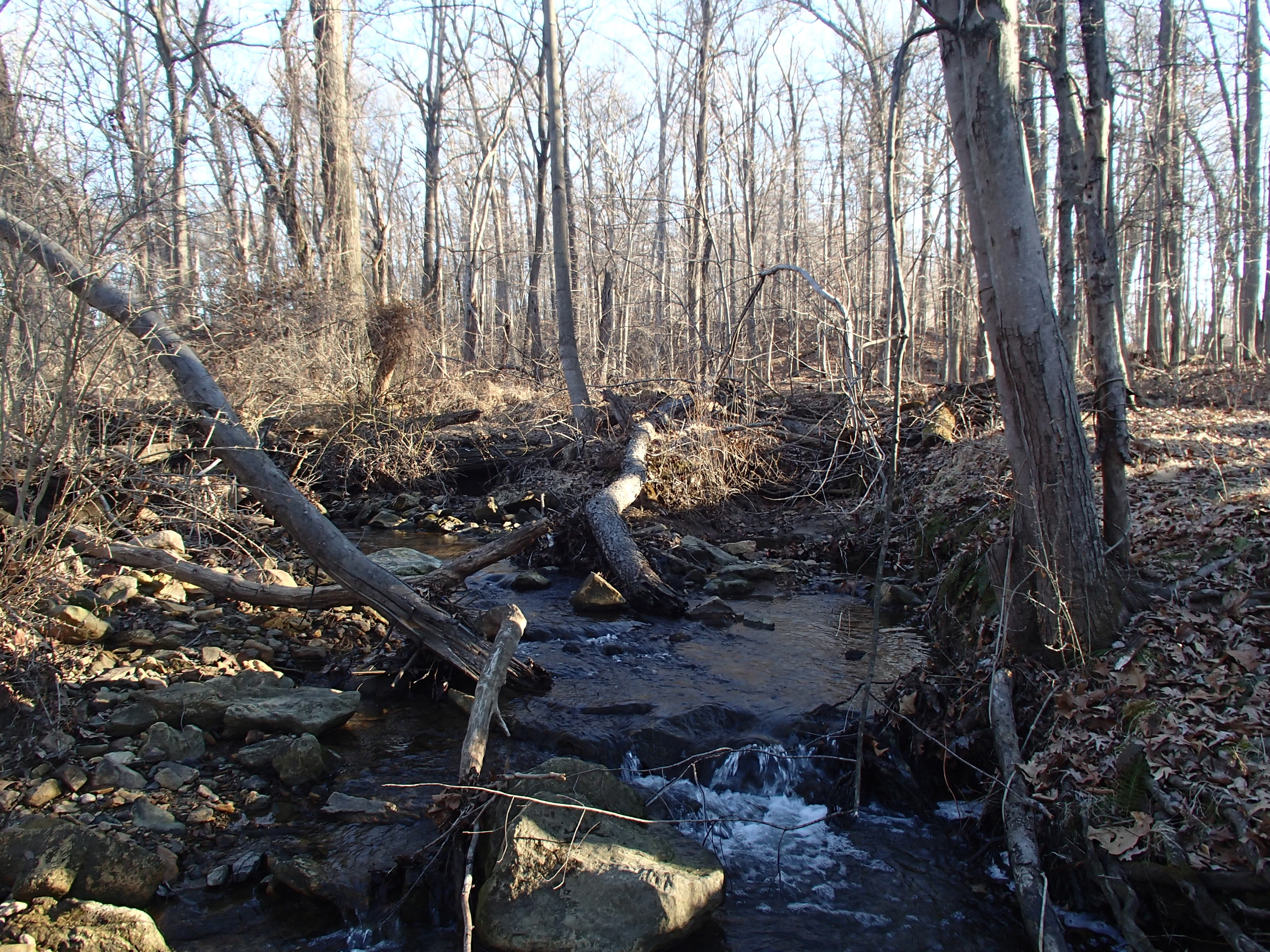 Field photo showing stream conditions at site SBPA-108-X-2015_Midpoint-at-P-looking-upstream