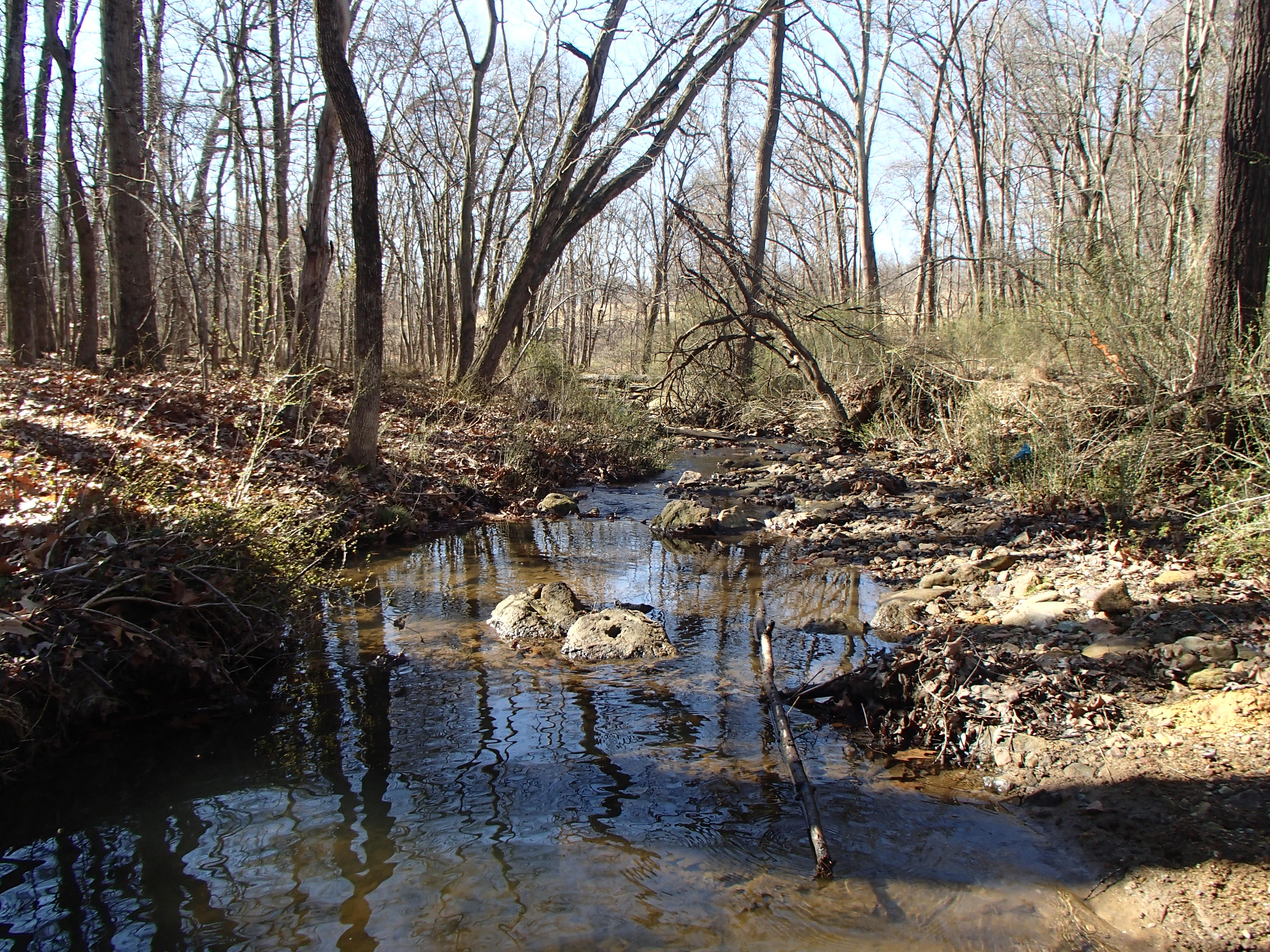 Field photo showing stream conditions at site SBPA-108-X-2017-MidpointFacingDownstream