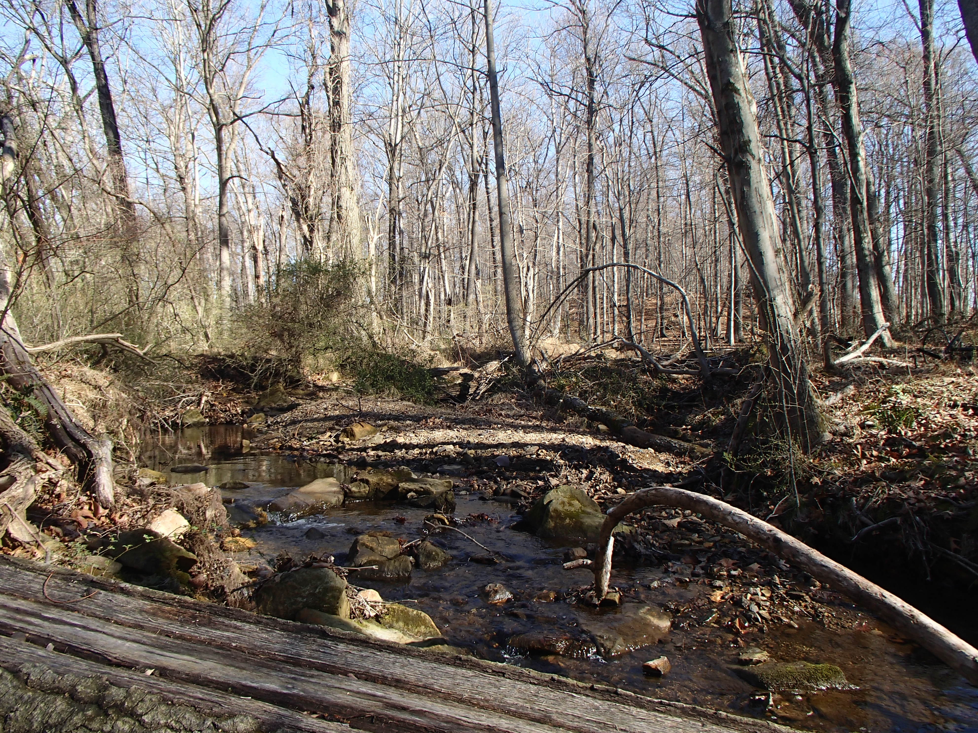 Field photo showing stream conditions at site SBPA-108-X-2017-MidpointFacingUpstream