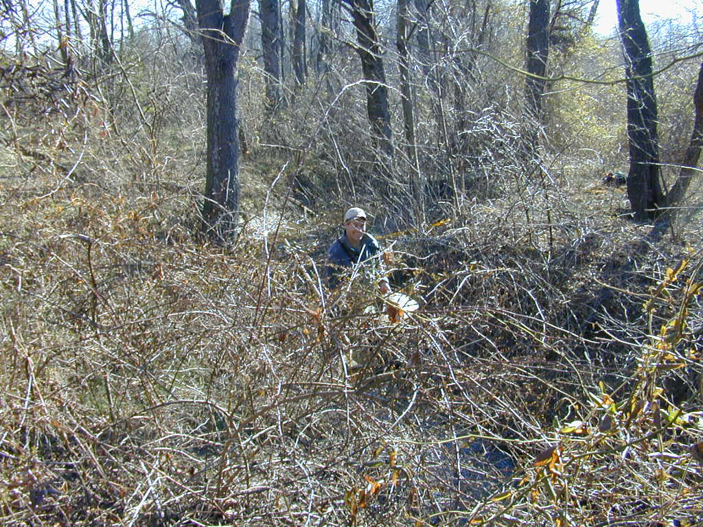 Field photo showing stream conditions at site SBPA-109-R-2000-01