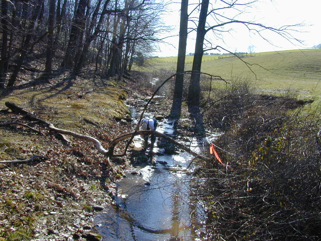 Field photo showing stream conditions at site SBPA-113-R-2000-01