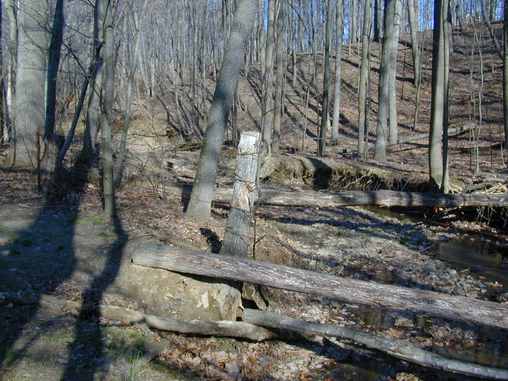 Field photo showing stream conditions at site SBPA-113-R-2000-02