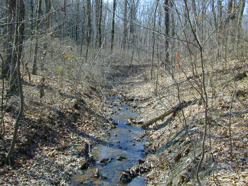 Field photo showing stream conditions at site SBPA-117-R-2000-01