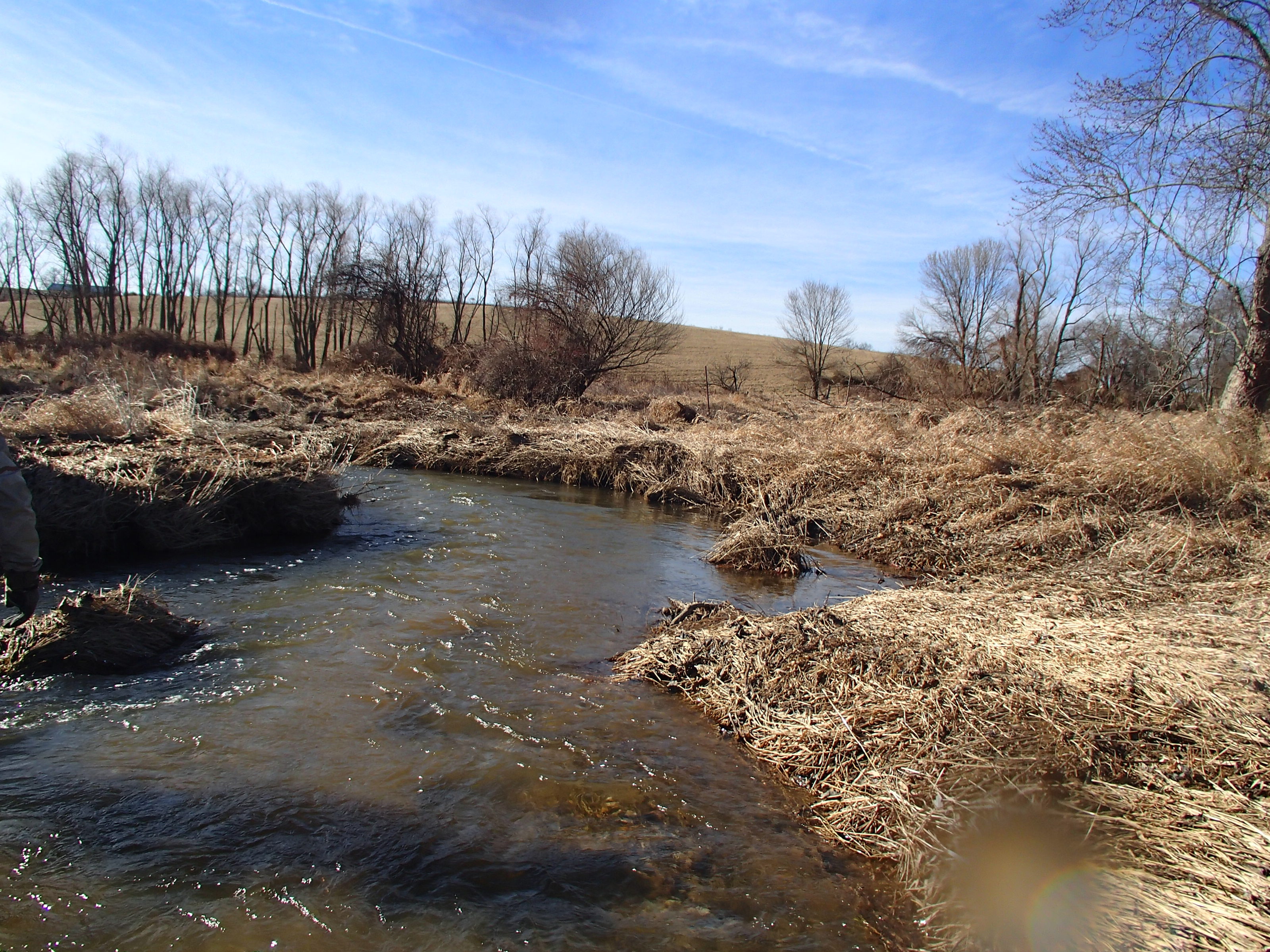 Field photo showing stream conditions at site SBPA-201-X-2015_Midpoint-at-rebar-looking-downstream