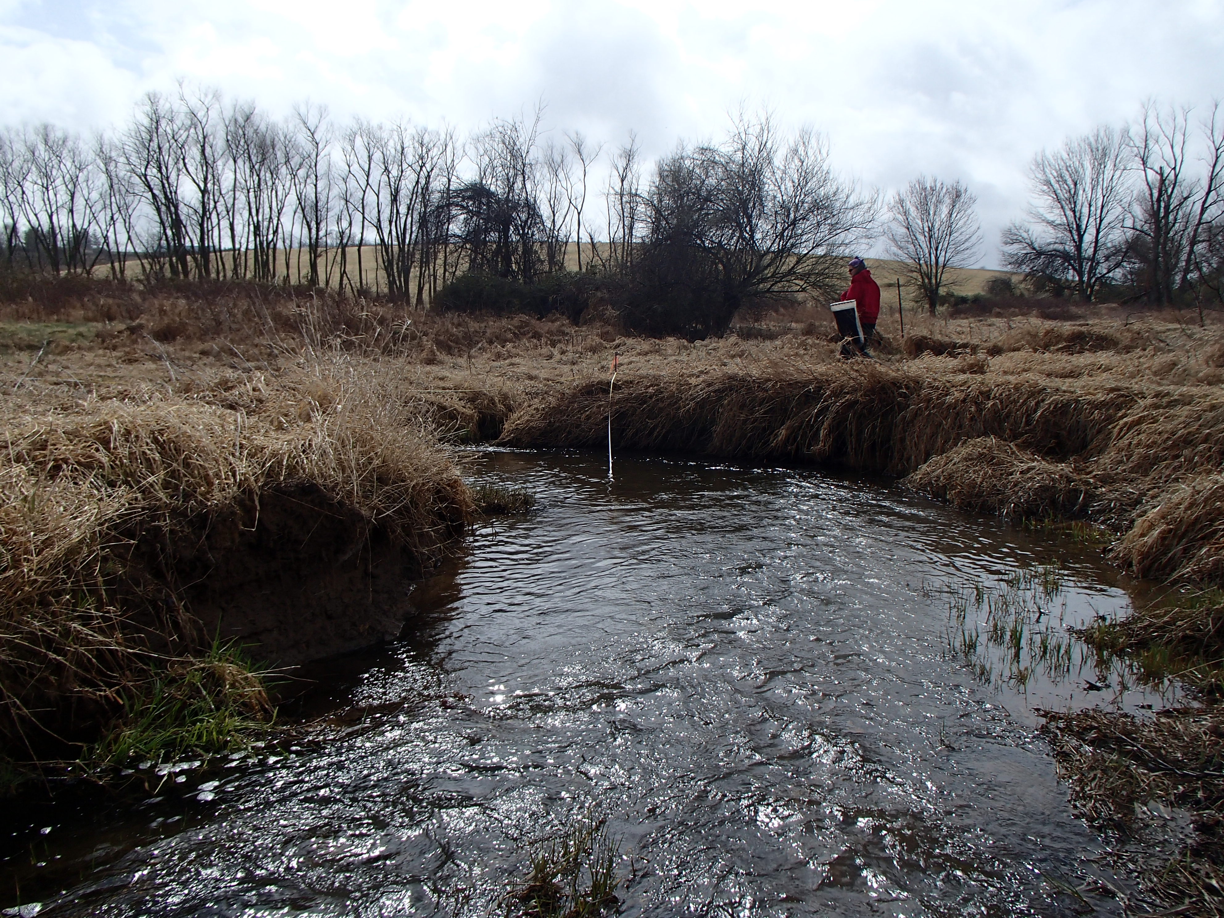 Field photo showing stream conditions at site SBPA-201-X-2017-MidpointFacingDownstream