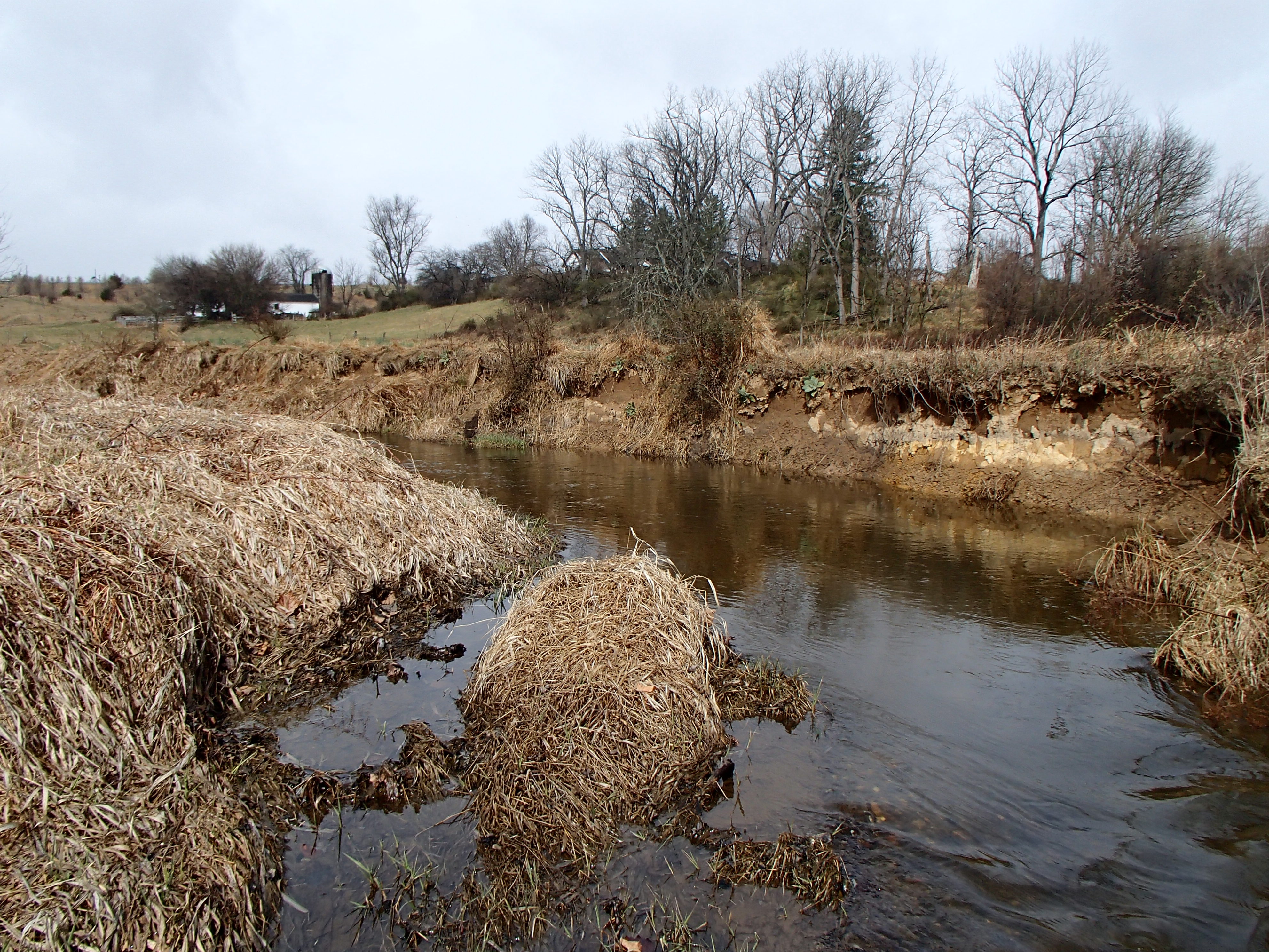 Field photo showing stream conditions at site SBPA-201-X-2017-MidpointFacingUpstream
