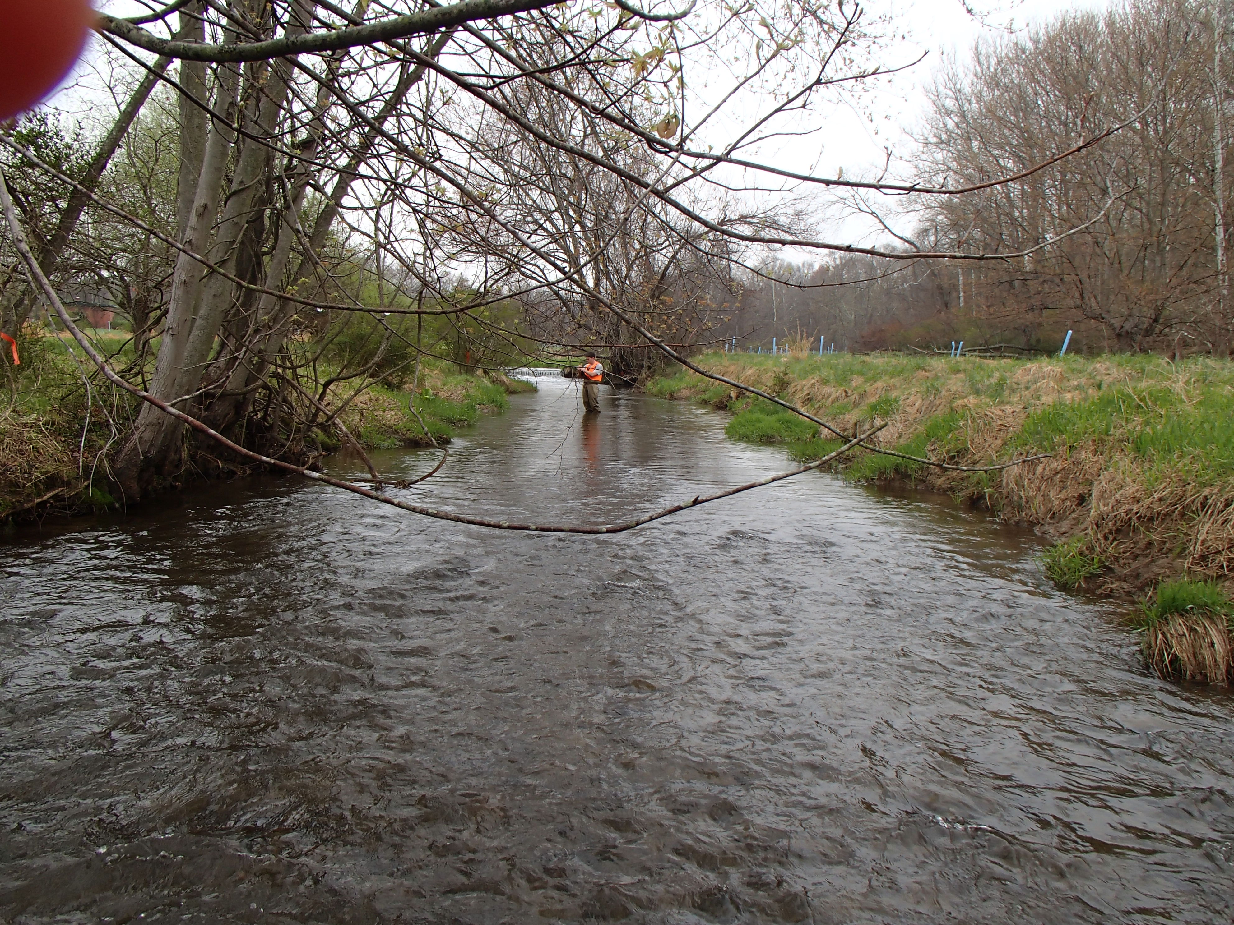 Field photo showing stream conditions at site SBPA-204-X-2014-1