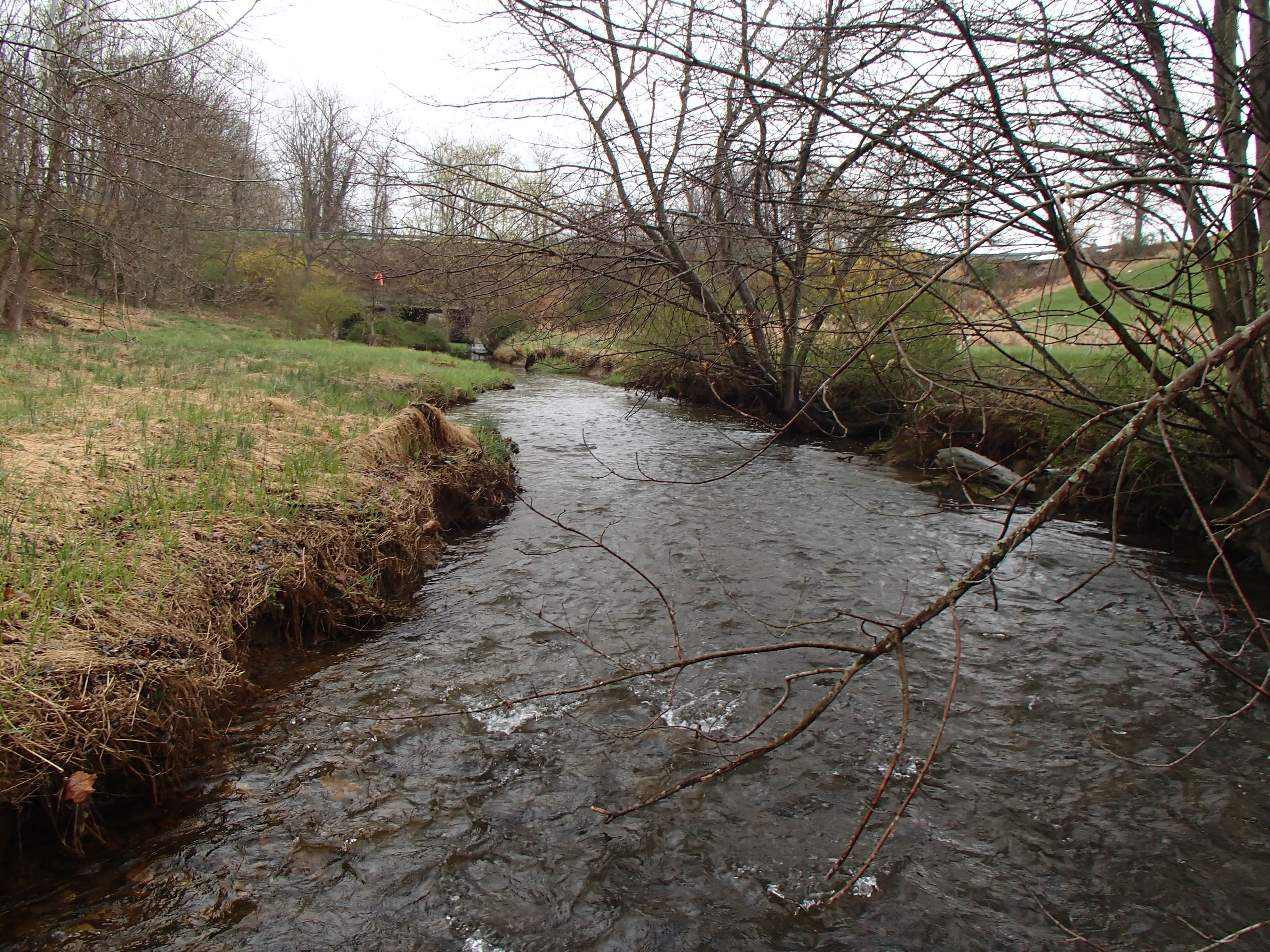 Field photo showing stream conditions at site SBPA-204-X-2014-2