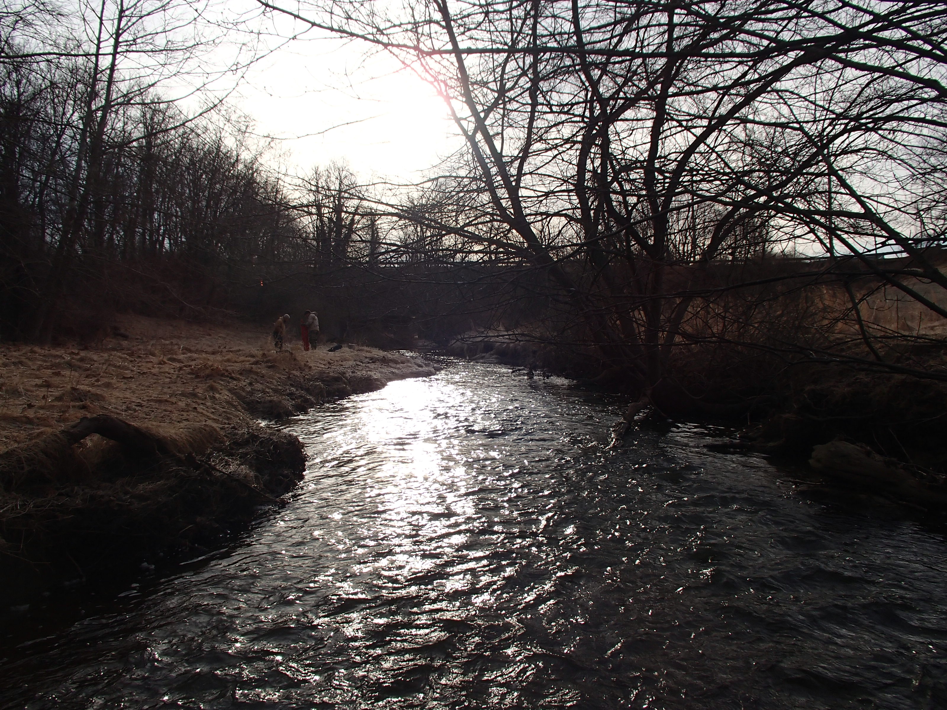 Field photo showing stream conditions at site SBPA-204-X-2015_Midpoint-looking-downstream
