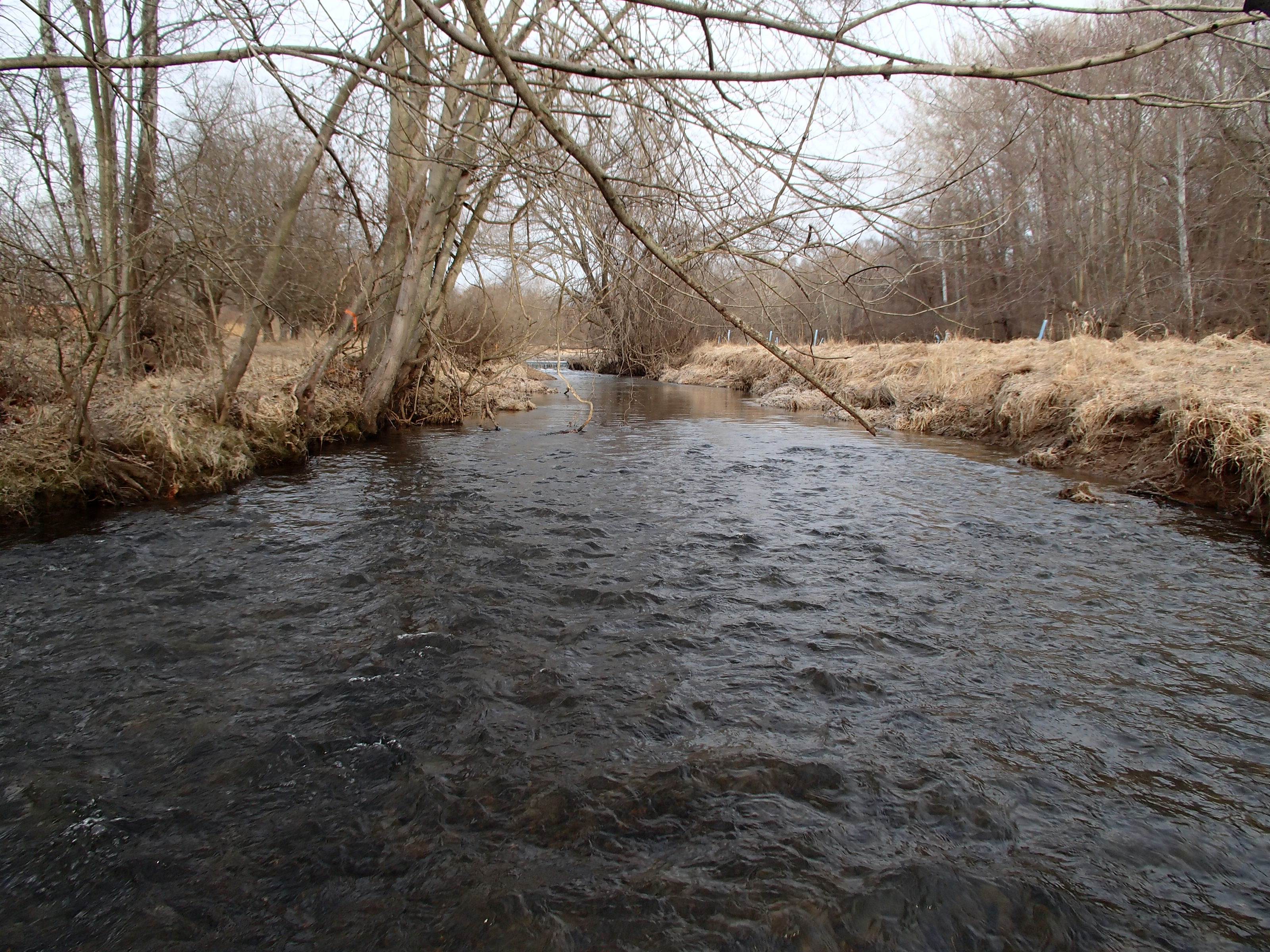Field photo showing stream conditions at site SBPA-204-X-2015_Midpoint-looking-upstream