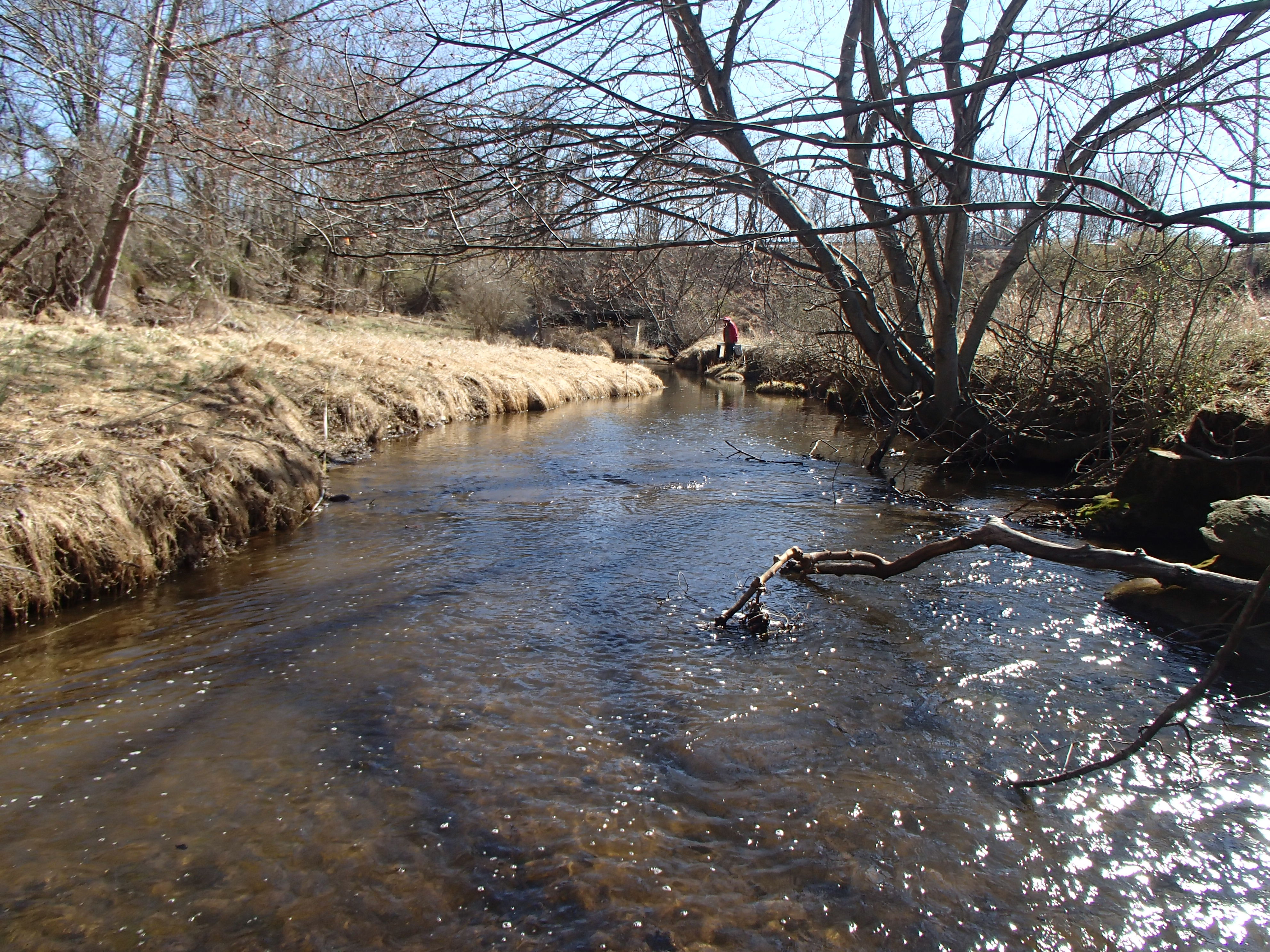 Field photo showing stream conditions at site SBPA-204-X-2017-MidpointFacingDownstream