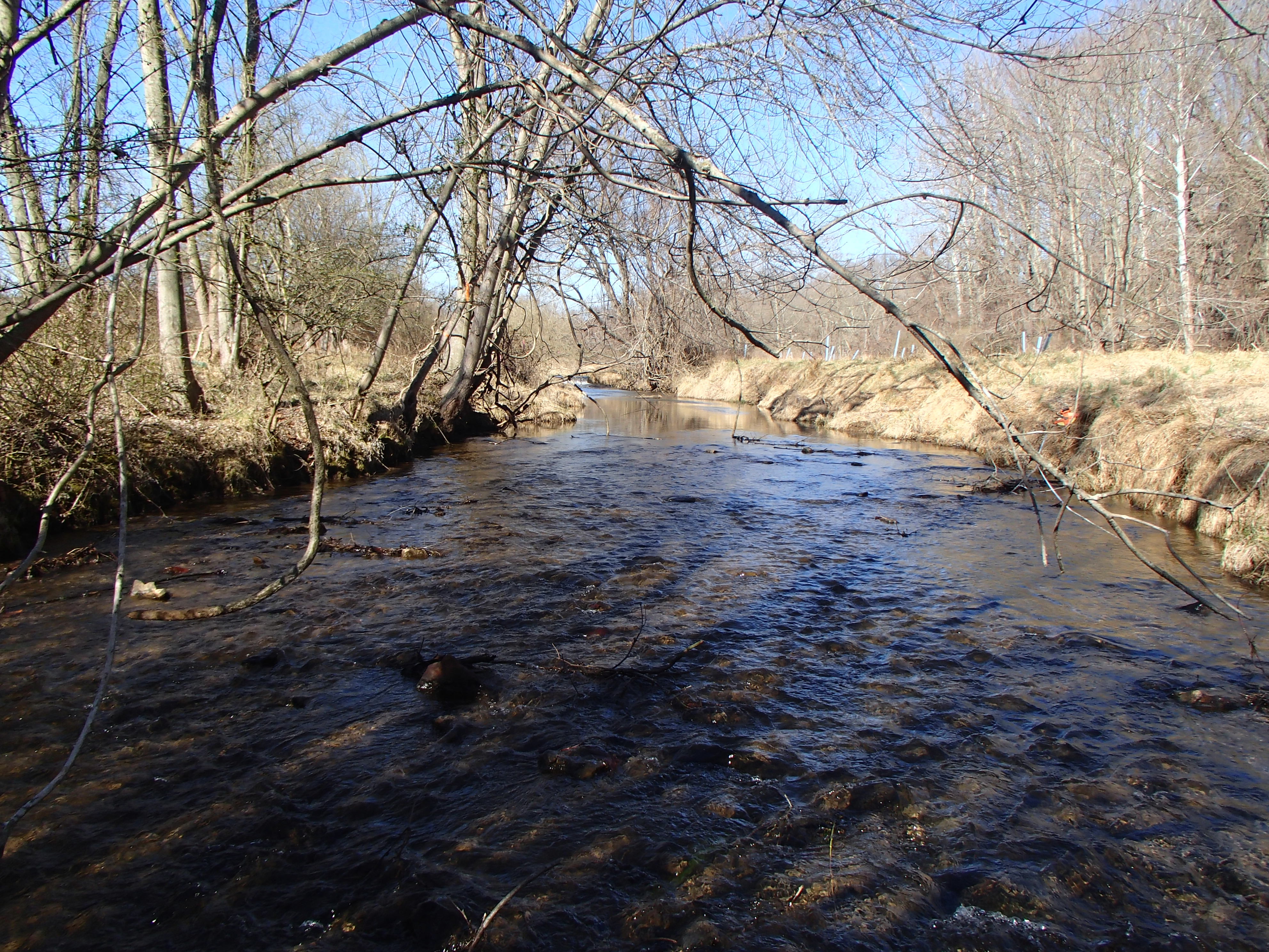 Field photo showing stream conditions at site SBPA-204-X-2017-MidpointFacingUpstream