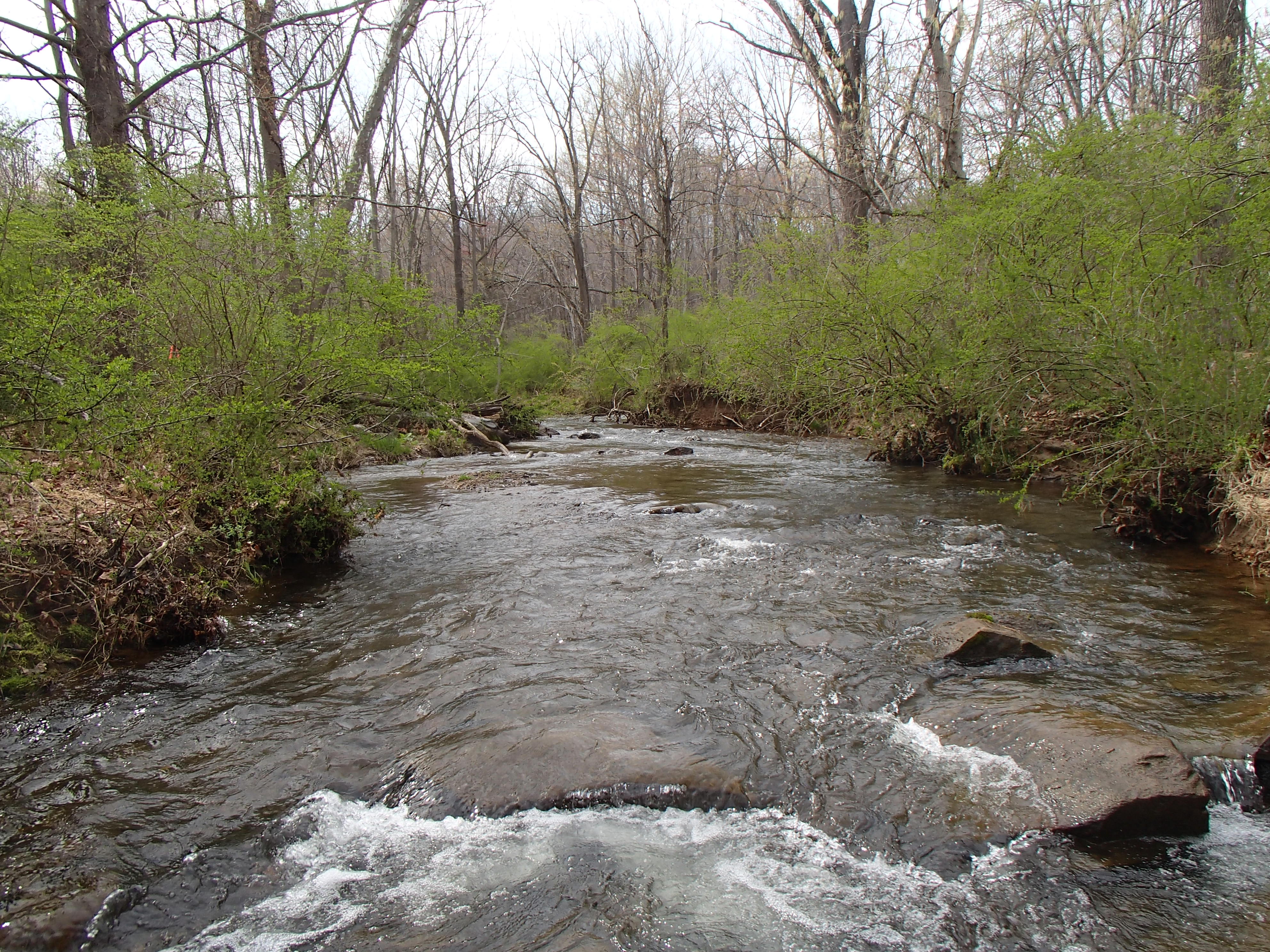 Field photo showing stream conditions at site SBPA-205-X-2014-1