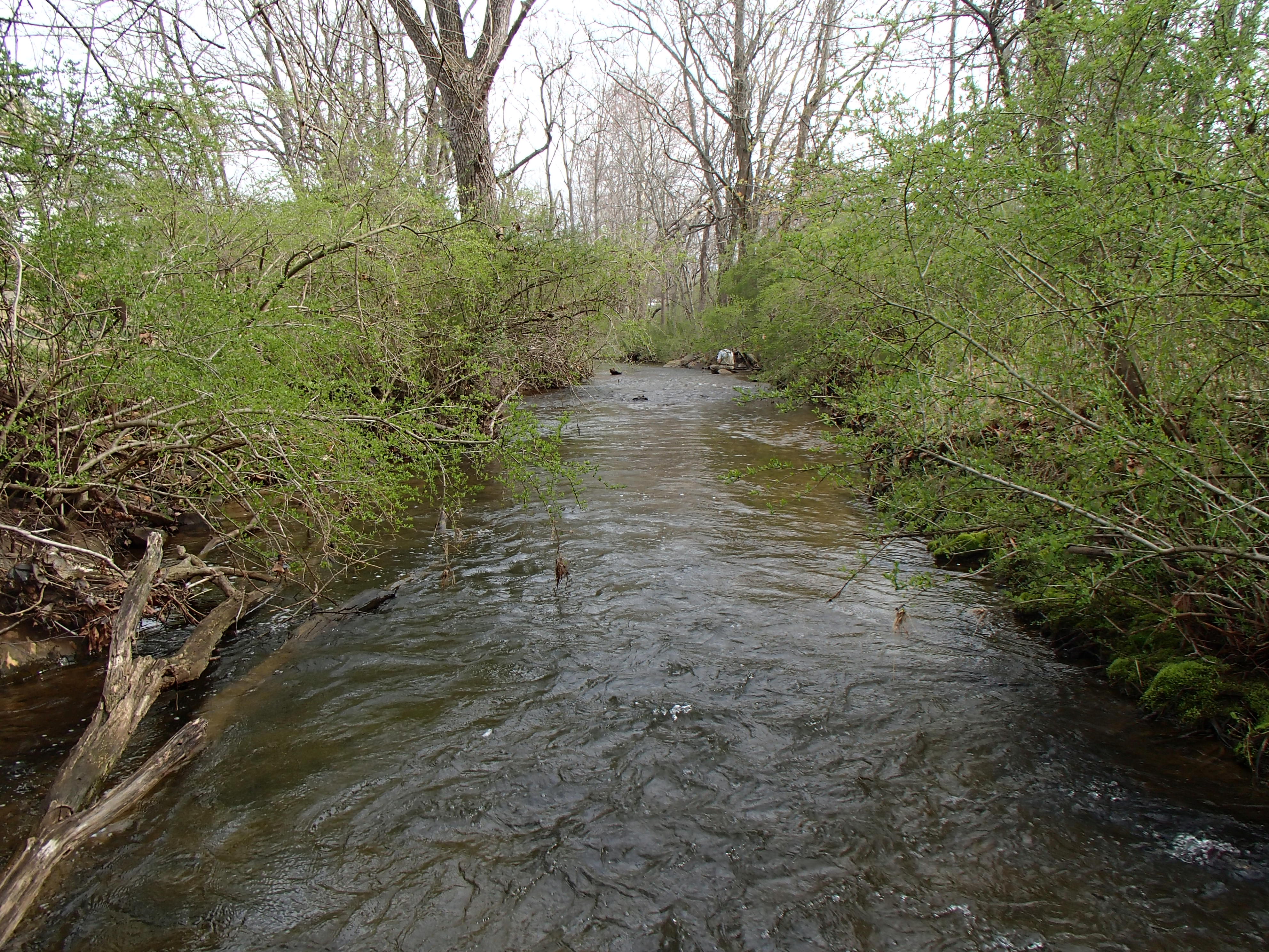 Field photo showing stream conditions at site SBPA-205-X-2014-2
