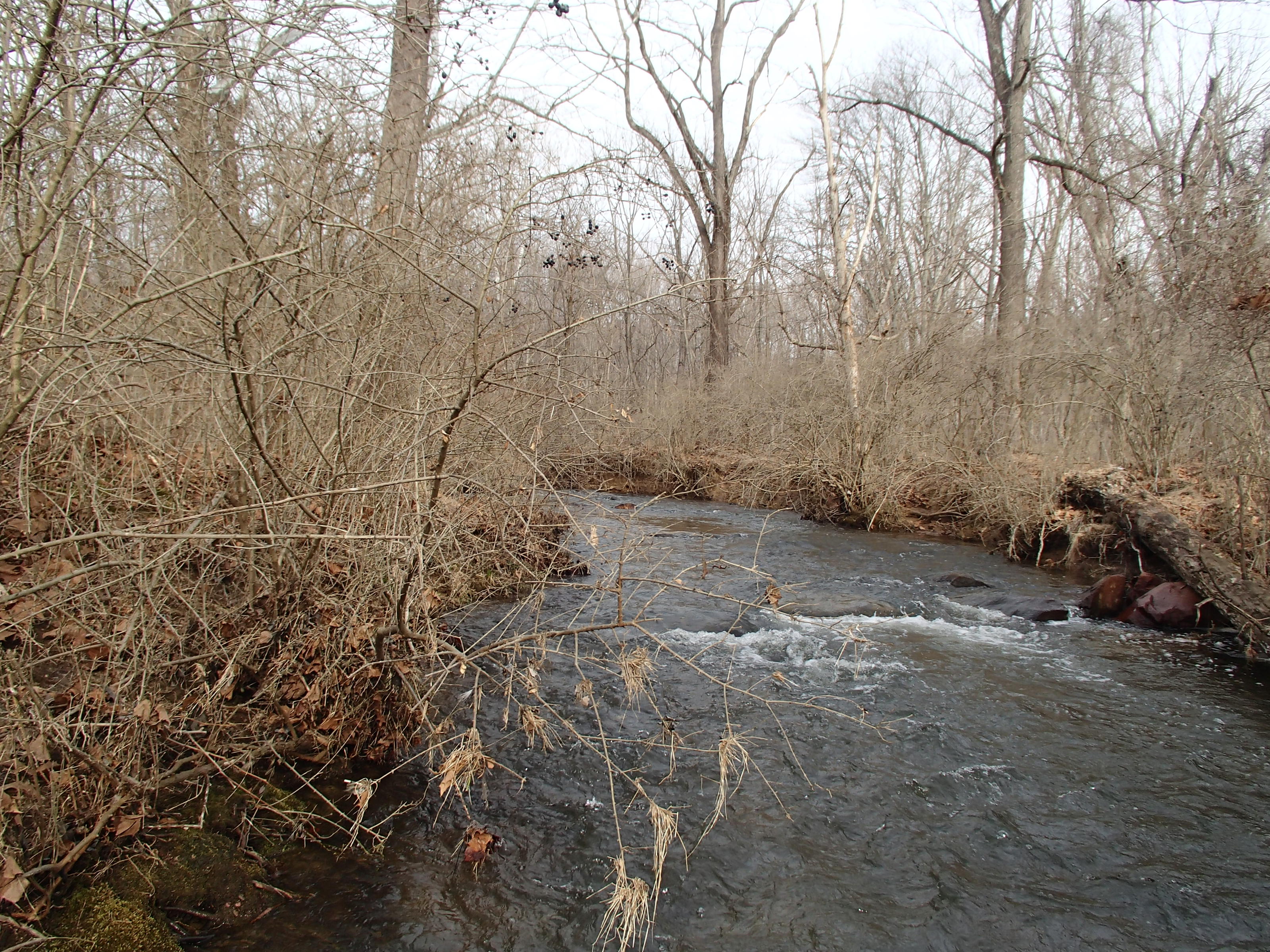 Field photo showing stream conditions at site SBPA-205-X-2015_Midpoint-looking-downstream