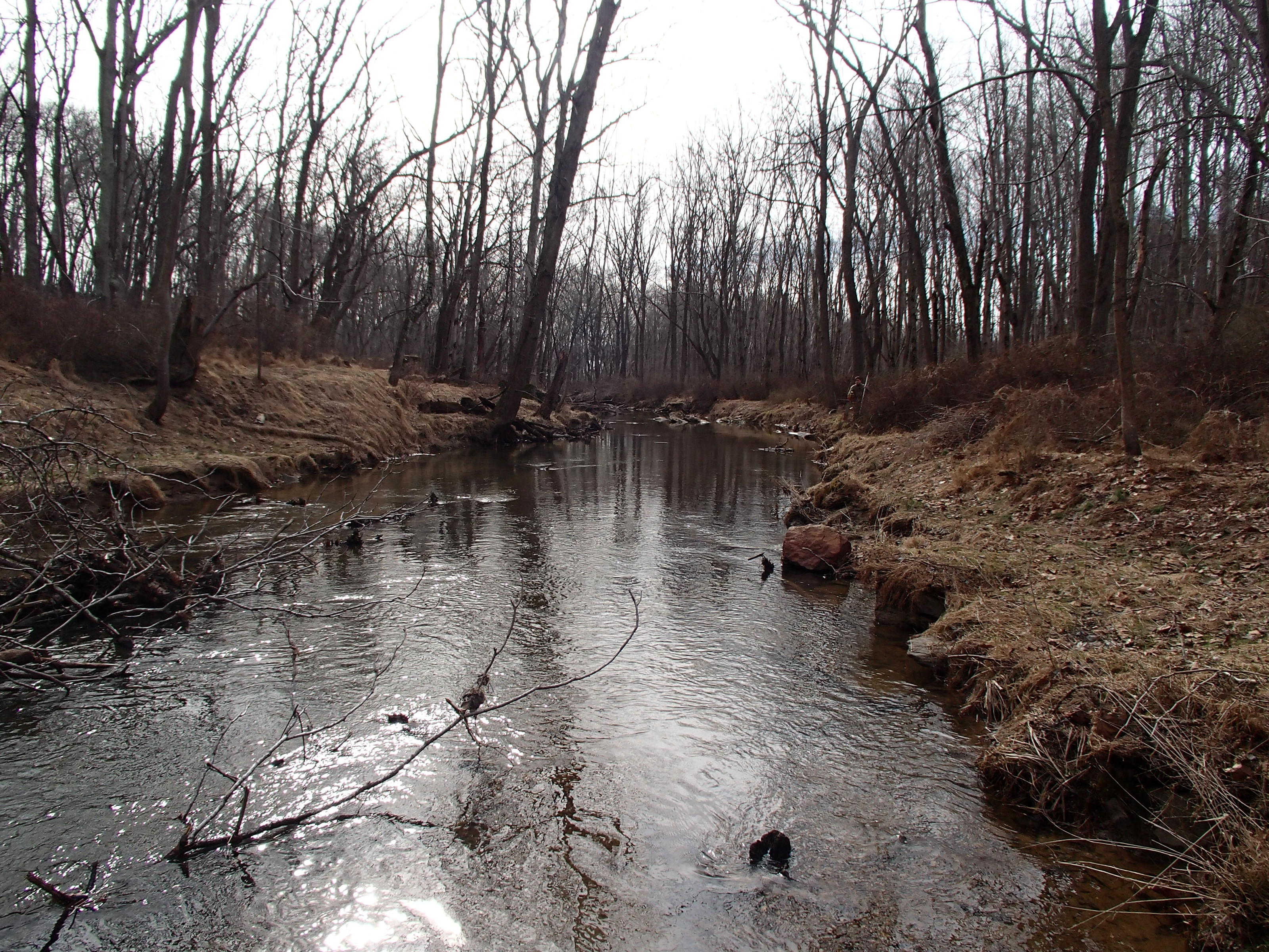 Field photo showing stream conditions at site SBPA-205-X-2015_Midpoint-looking-upstream